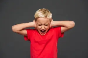 Meltdown e Shutdown